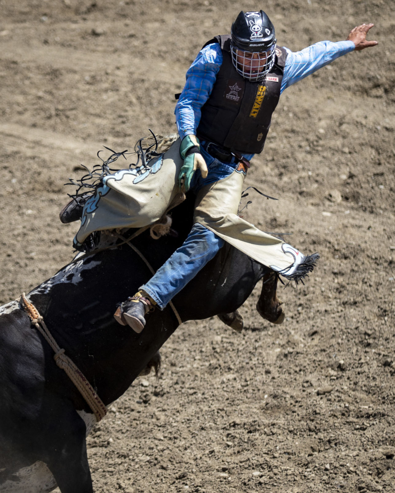 Rodeo Roundup